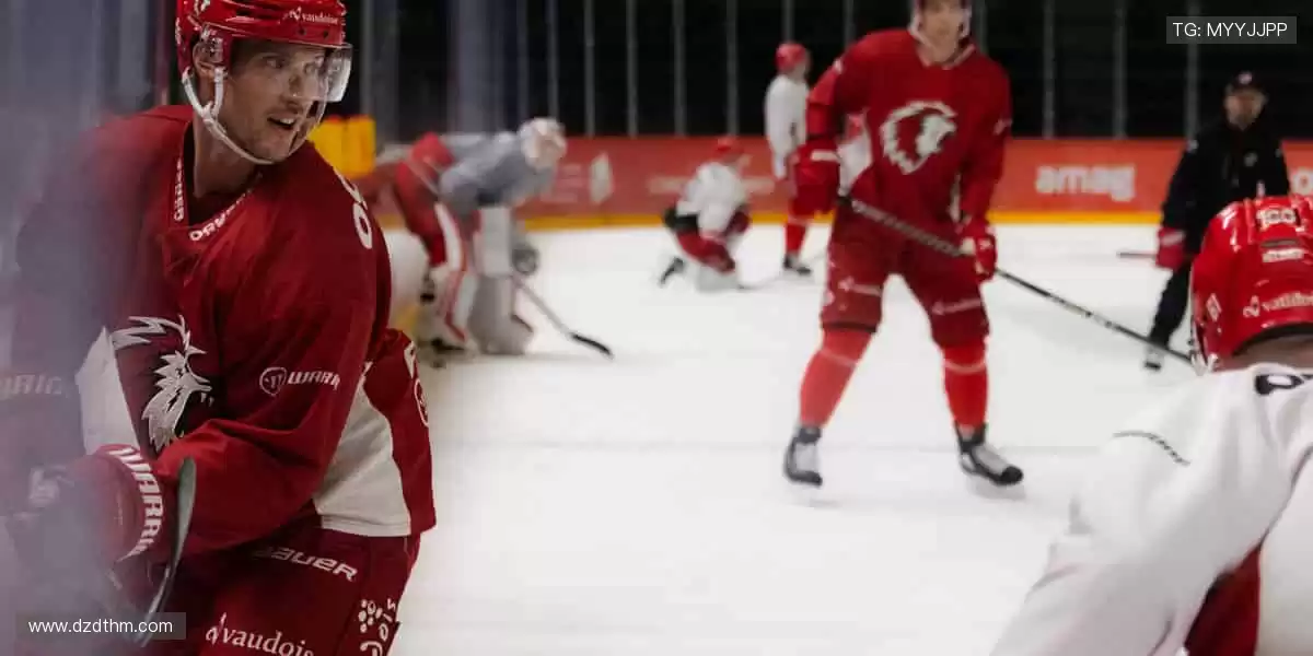 正品周边,球迷专属荣耀!🎁🏆